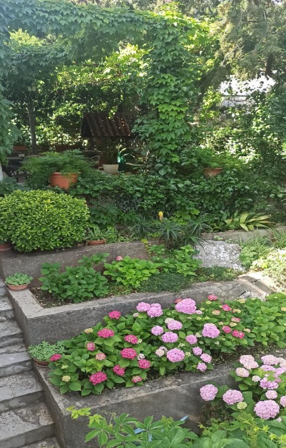 Apartments & Rooms Jokovic Млини Екстер'єр фото